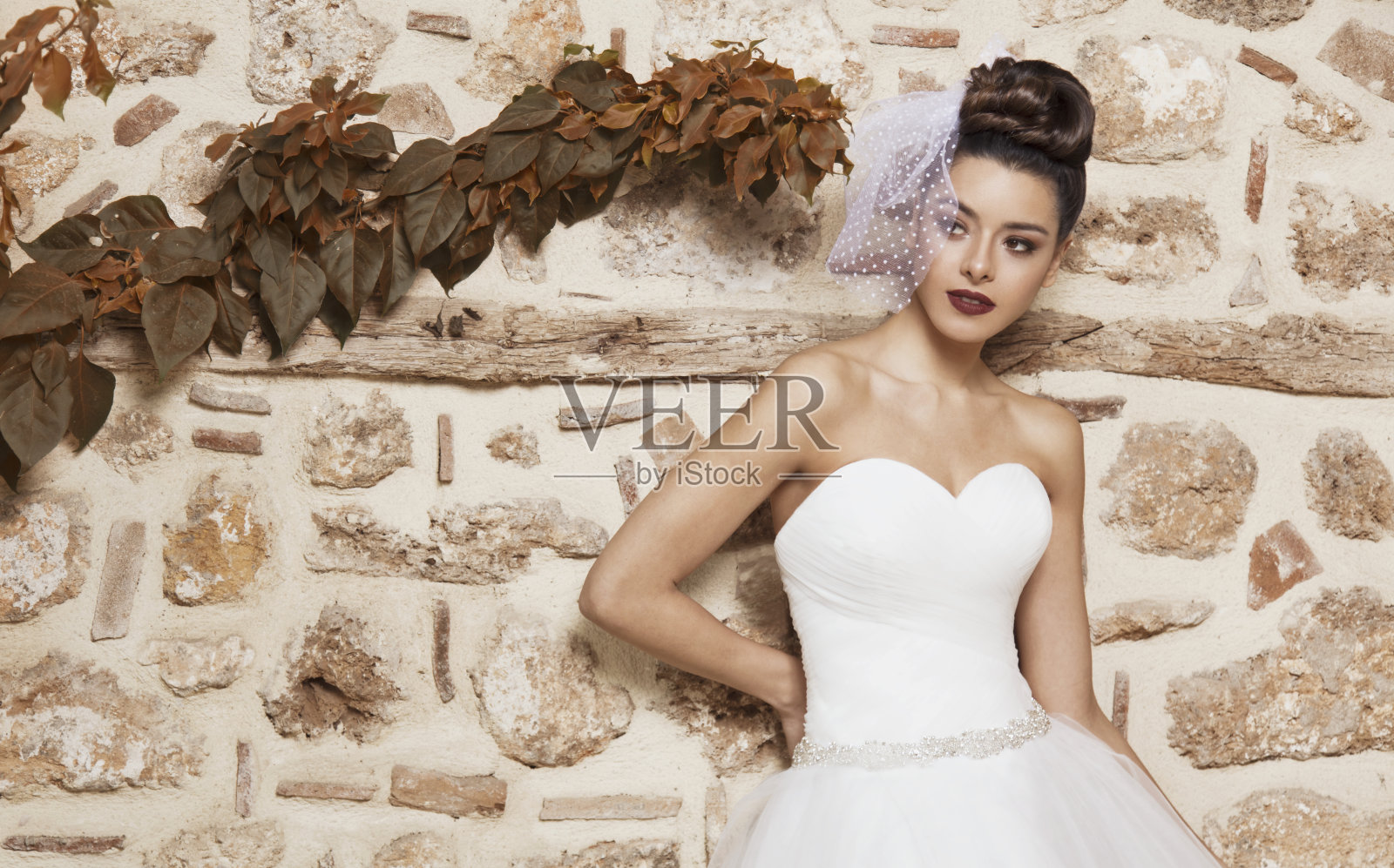 墙上漂亮的黑发新娘的肖像。照片摄影图片