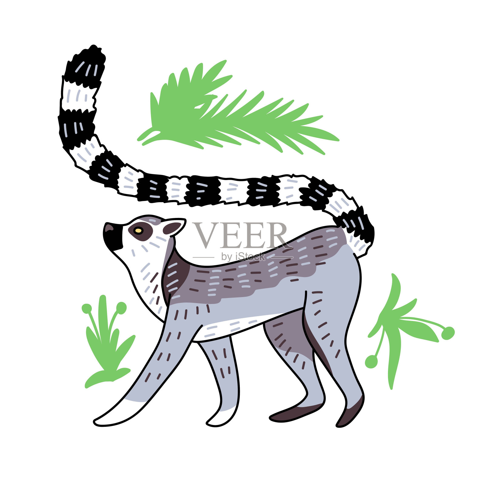 环尾狐猴矢量插图插画图片素材