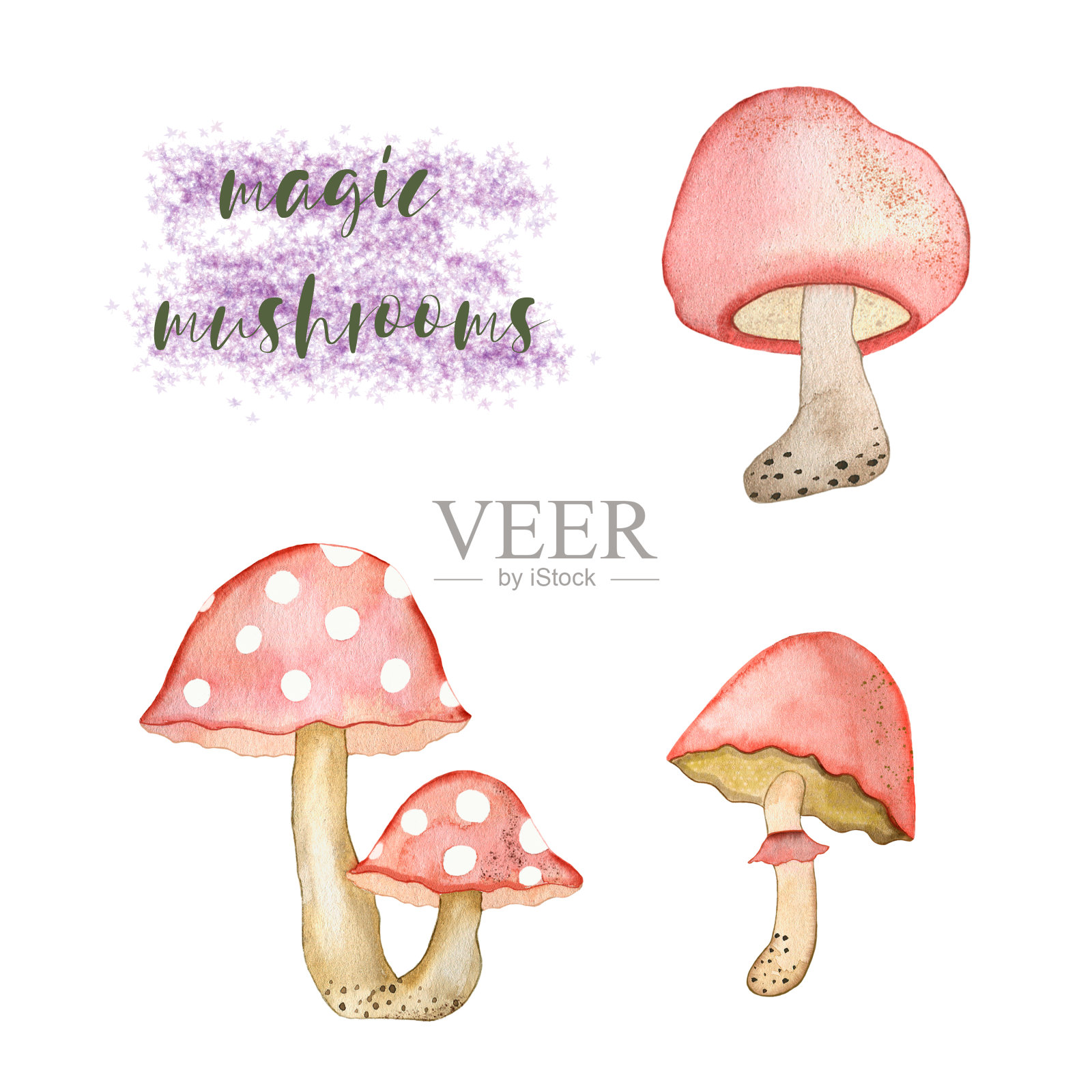 这套粉色神奇蘑菇的水彩画插图是用水彩画手绘的，适合各种各样的设计。插画图片素材