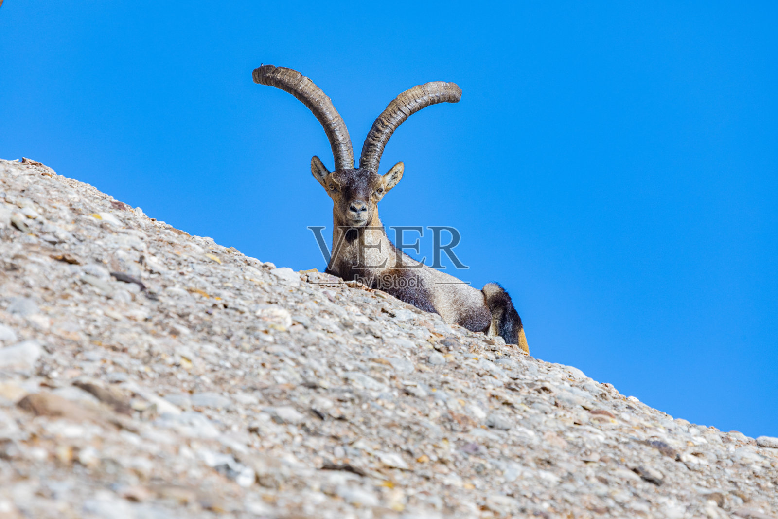 蒙特塞拉特山-西班牙卡普拉比利尼亚雄-加泰罗尼亚地标照片摄影图片