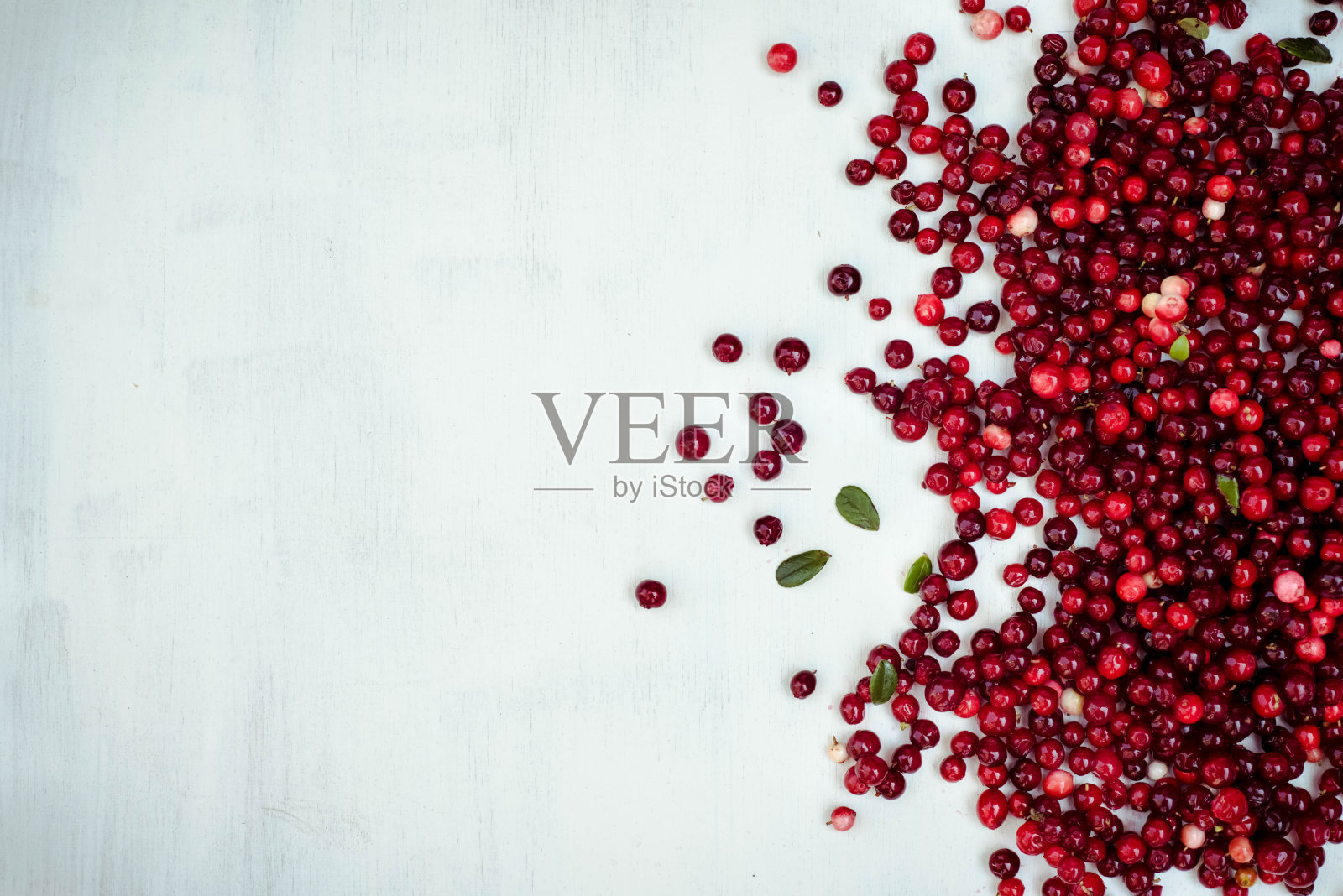 白色背景上的蔓越莓浆果照片摄影图片