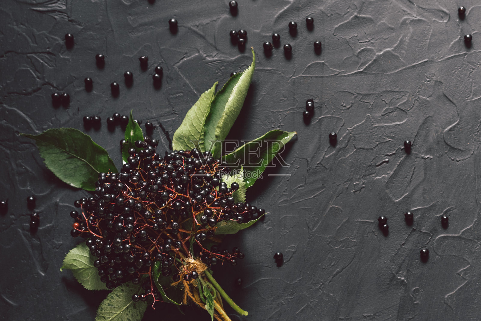 水果黑色接骨木莓在一个黑暗的背景。(Sambucus质)。欧洲黑接骨木背景照片摄影图片
