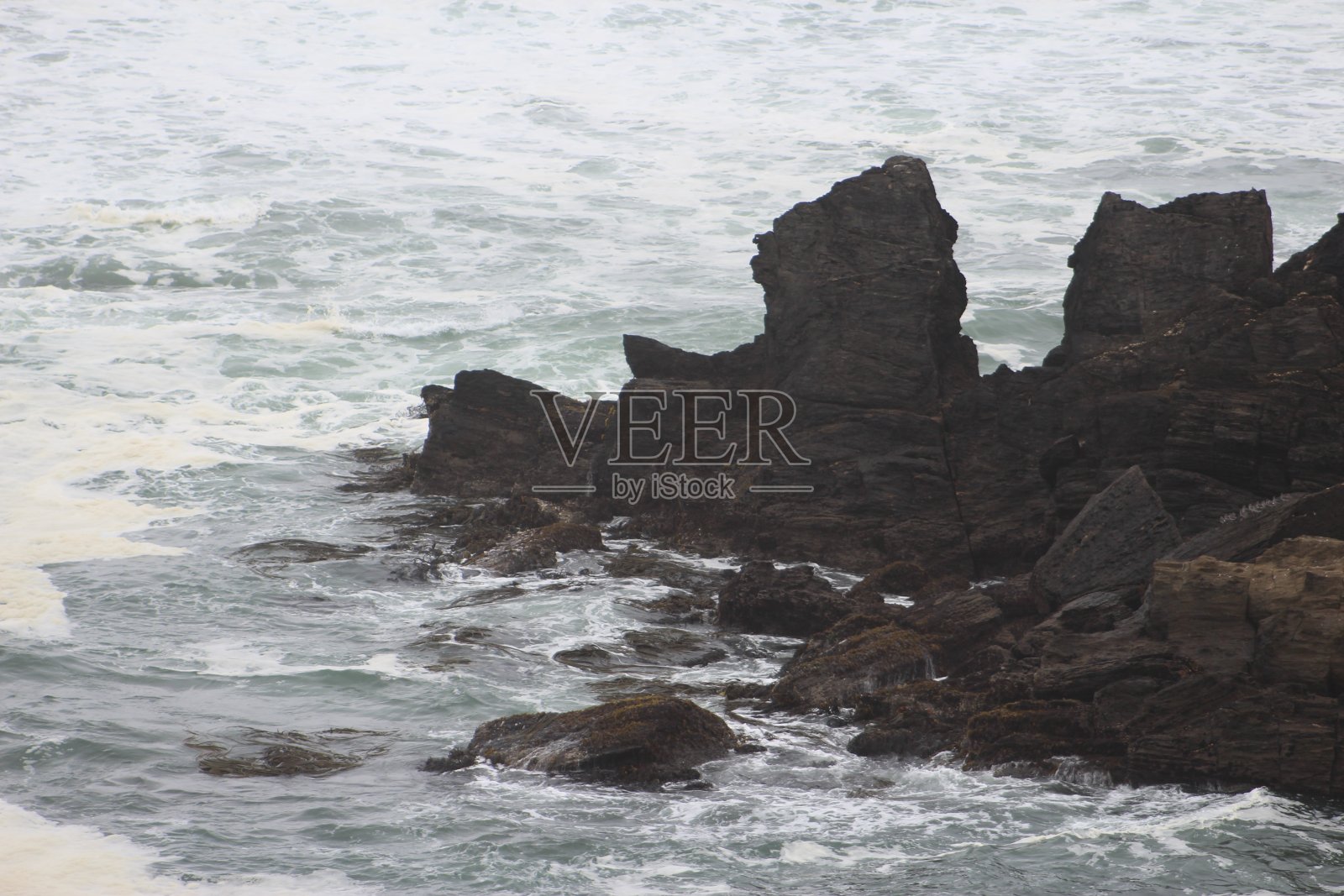 强烈的造型照片摄影图片