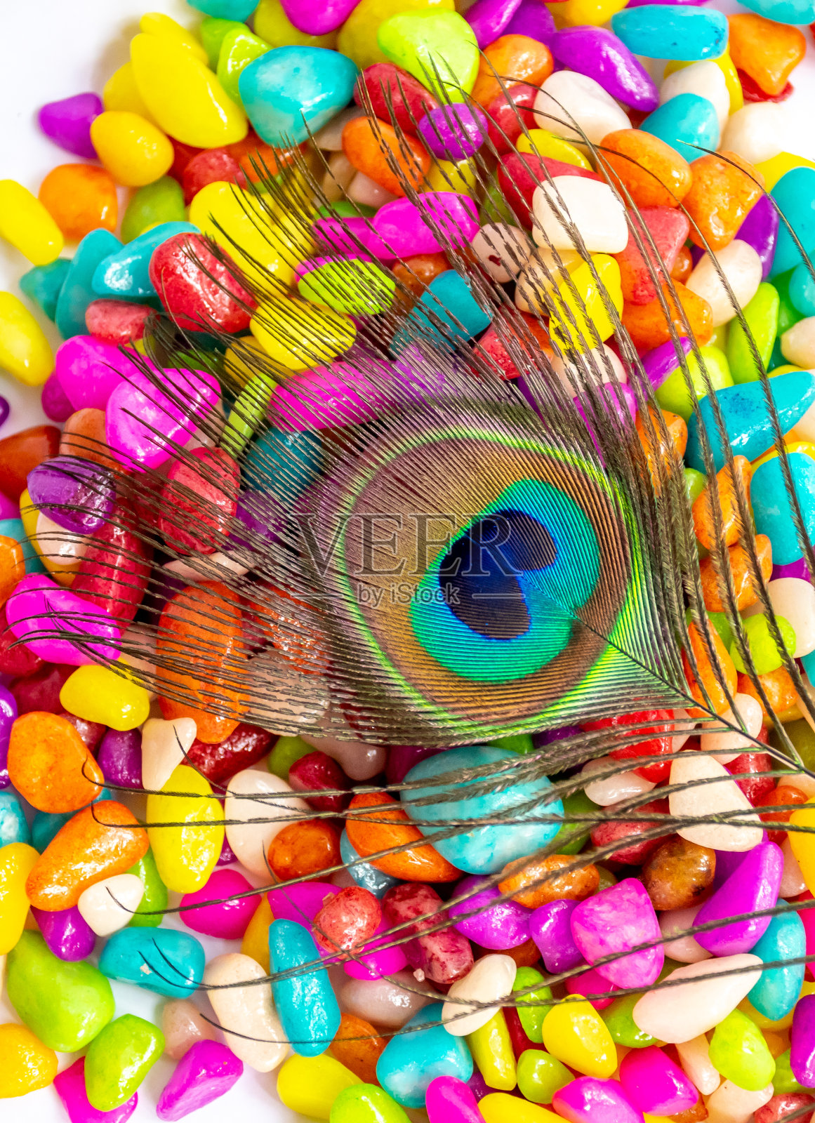 美丽的孔雀羽毛照片摄影图片