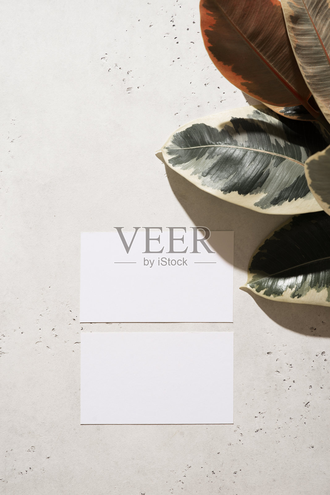 空白，注模拟与无花果平铺设计在浅灰色或白色背景照片摄影图片