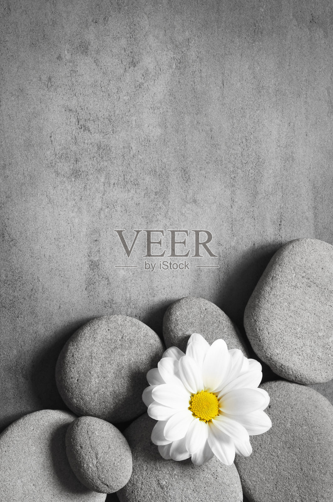 平铺构成与温泉石和花在灰色的背景。照片摄影图片