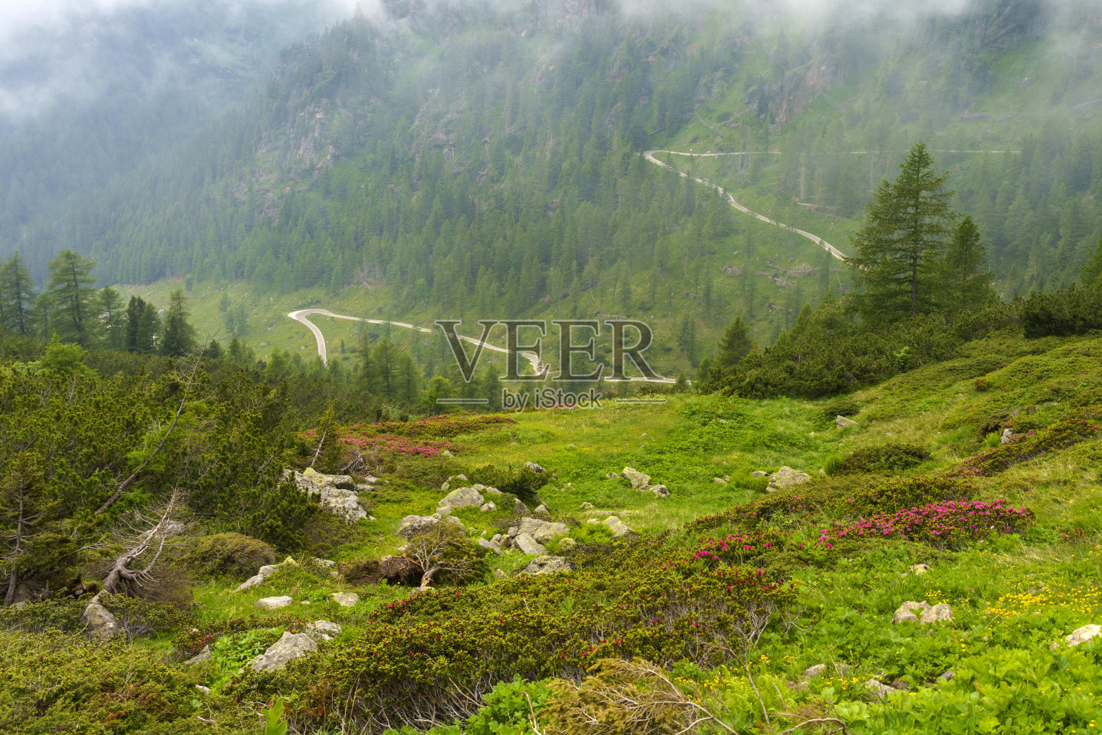 风景沿着路到芒根关口照片摄影图片