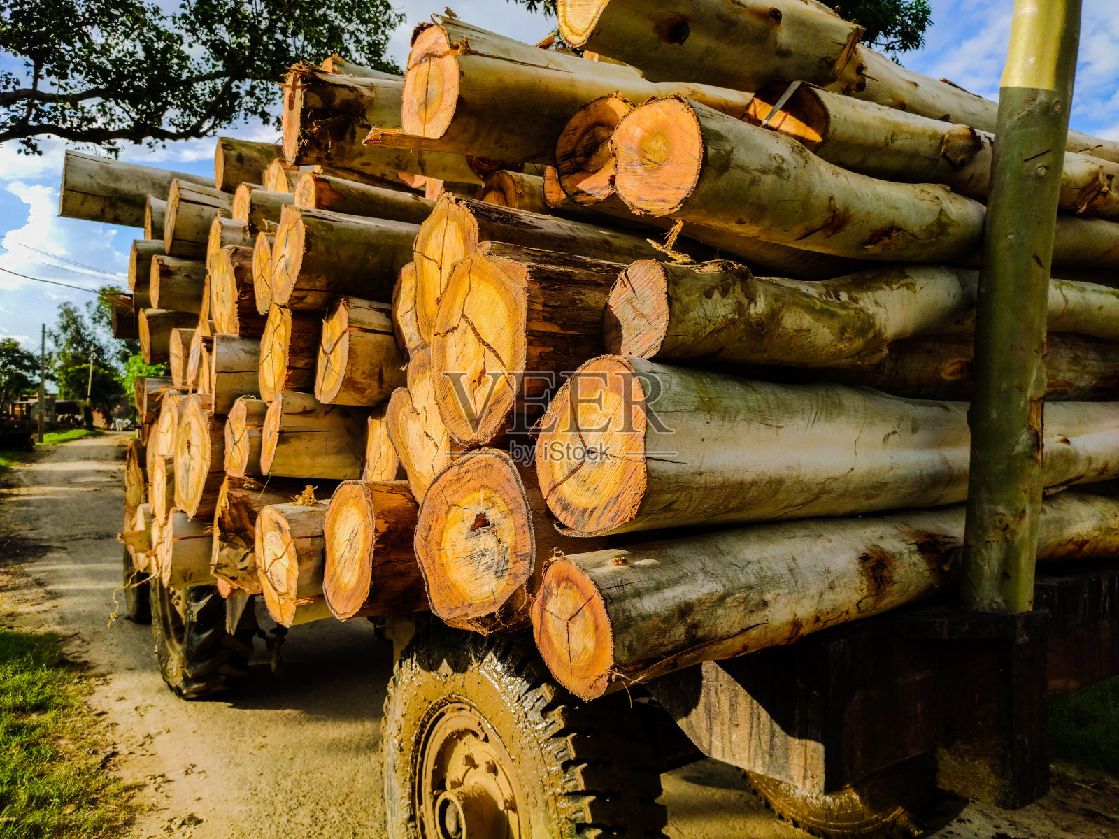 在卡车上切割木材，用于工业运输照片摄影图片