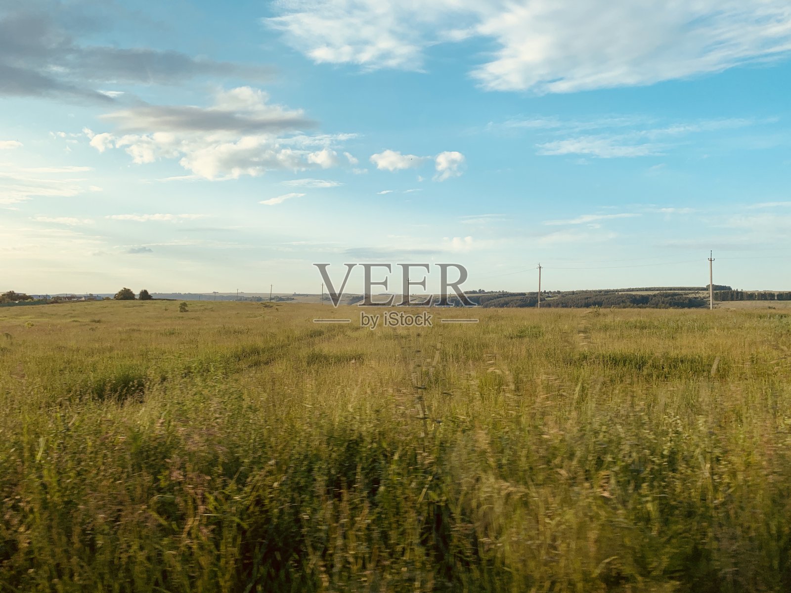 绿油油的草地照片摄影图片