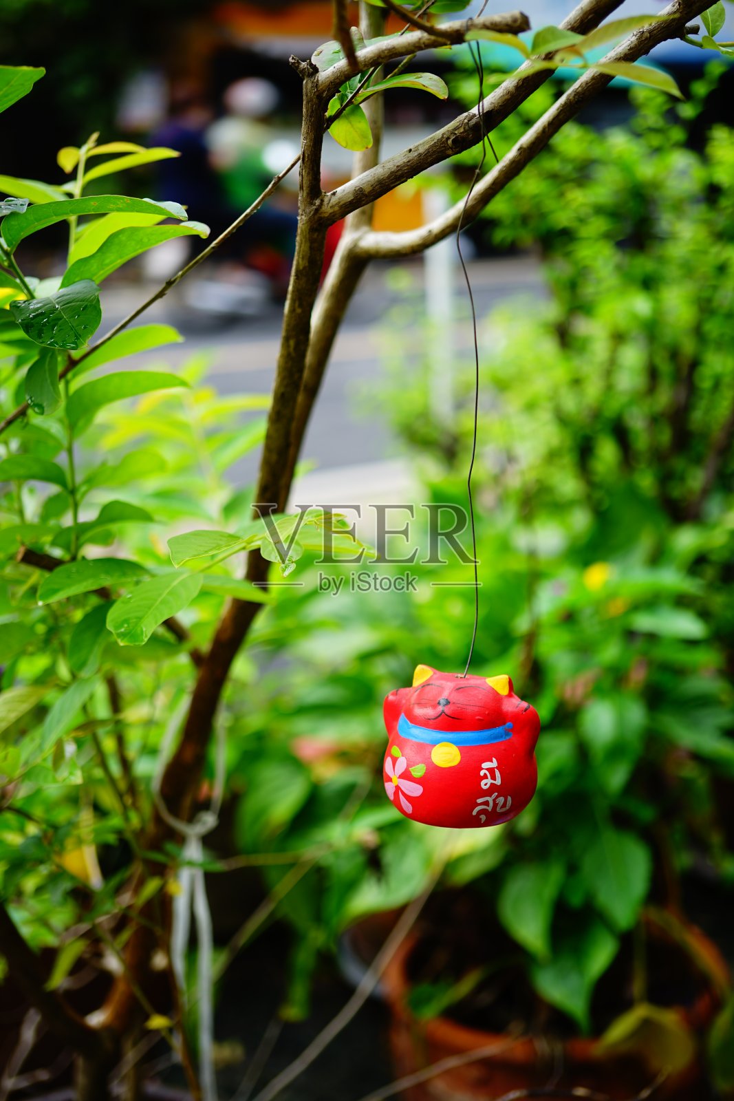 红猫移动娃娃用陶瓷挂在树上照片摄影图片