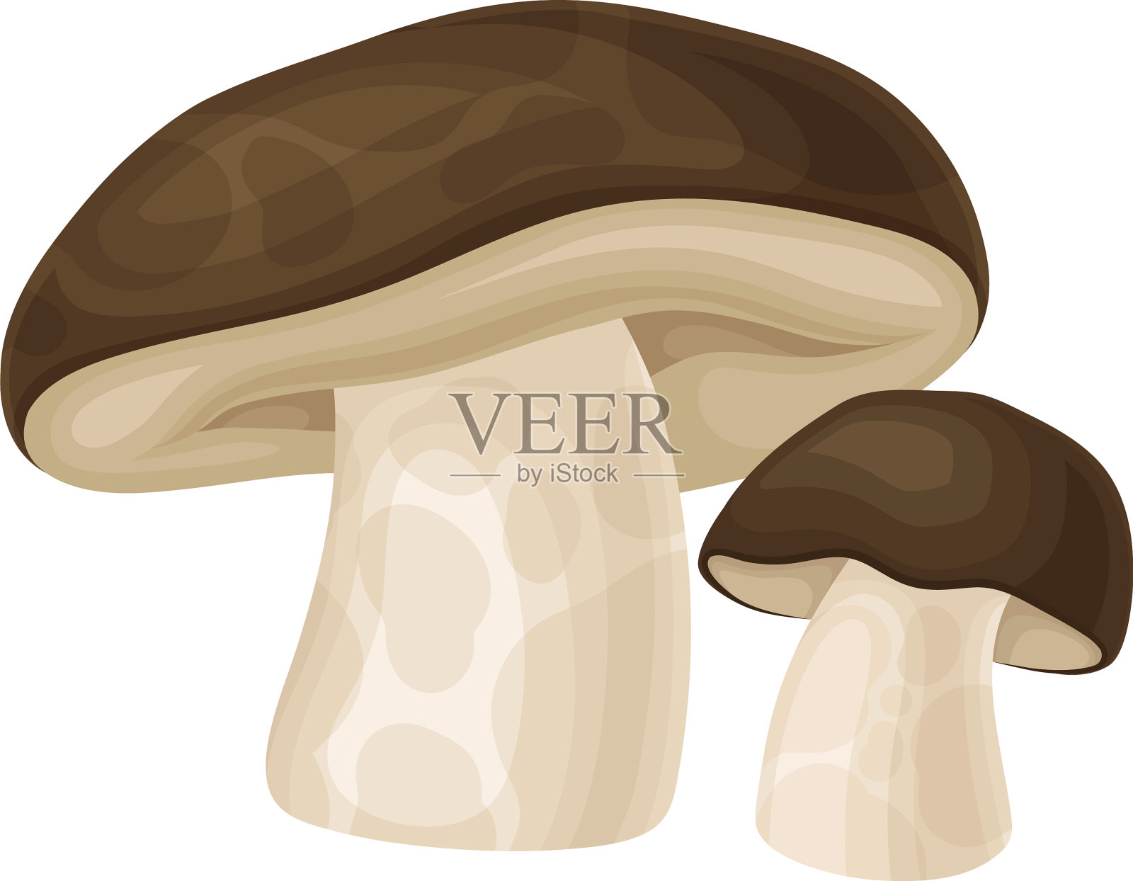 有茎和帽的森林蘑菇或伞菌插画图片素材