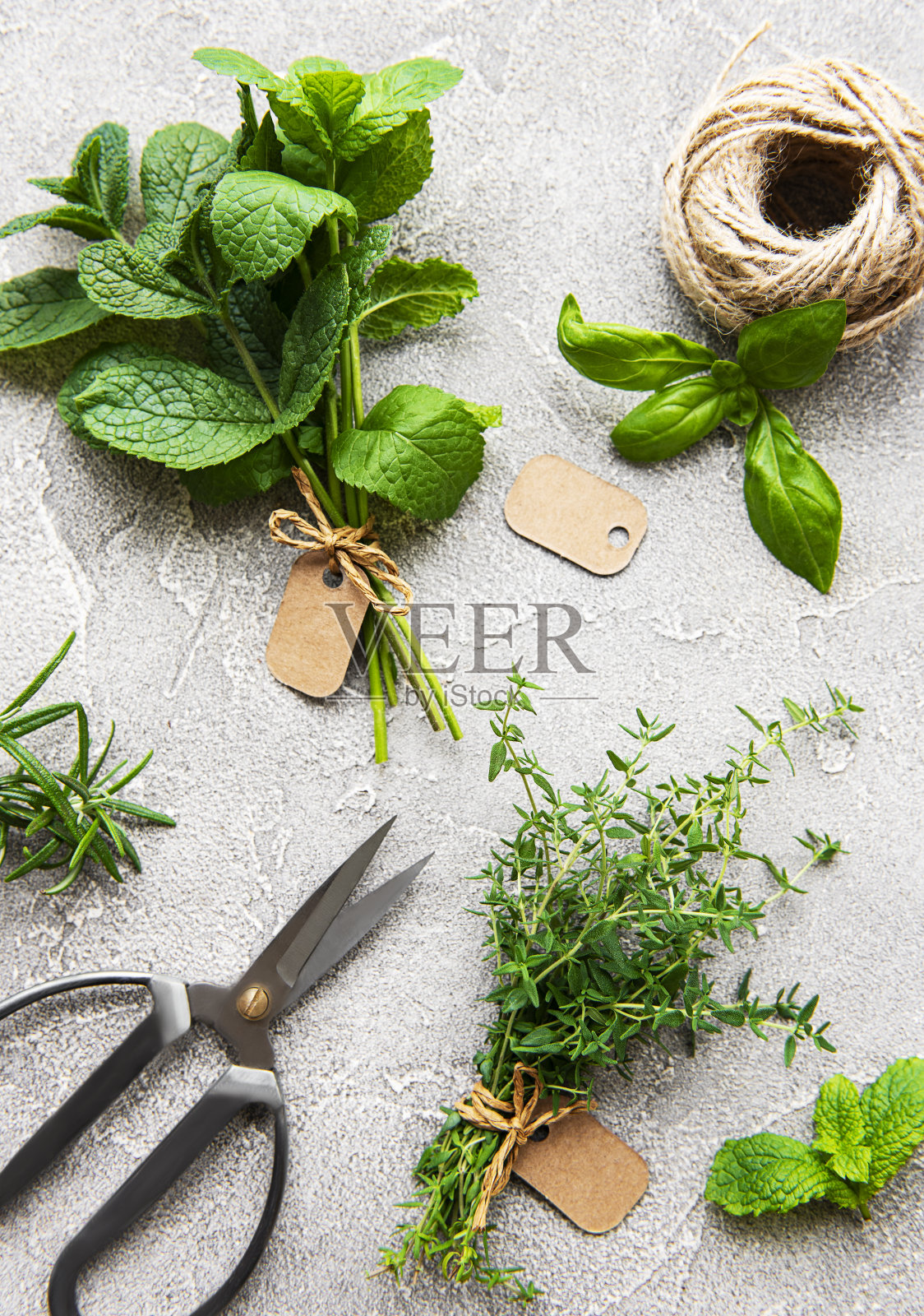 灰色混凝土背景上的新鲜香草照片摄影图片