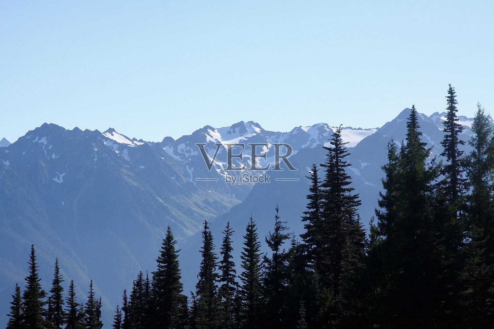 奥林匹克国家公园里的卡丽山照片摄影图片