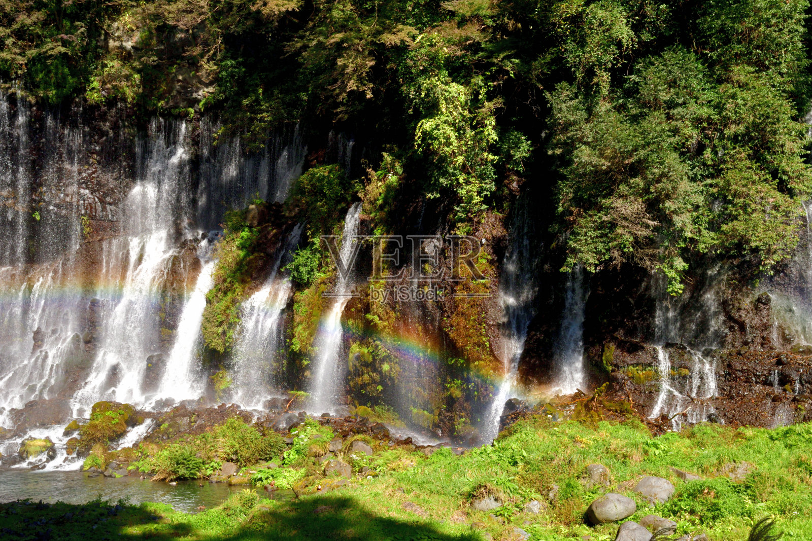 早秋时节的白丝瀑布，位于静冈县富士宫市照片摄影图片