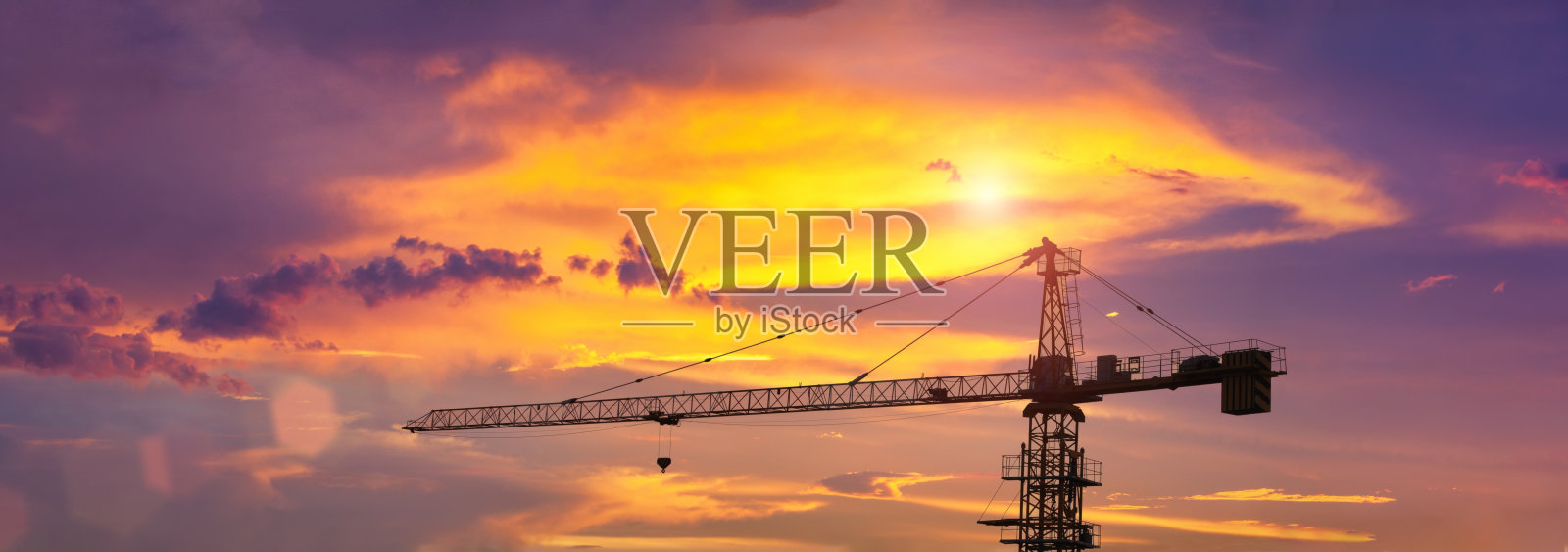 鹤在日落与橙色的云照片摄影图片