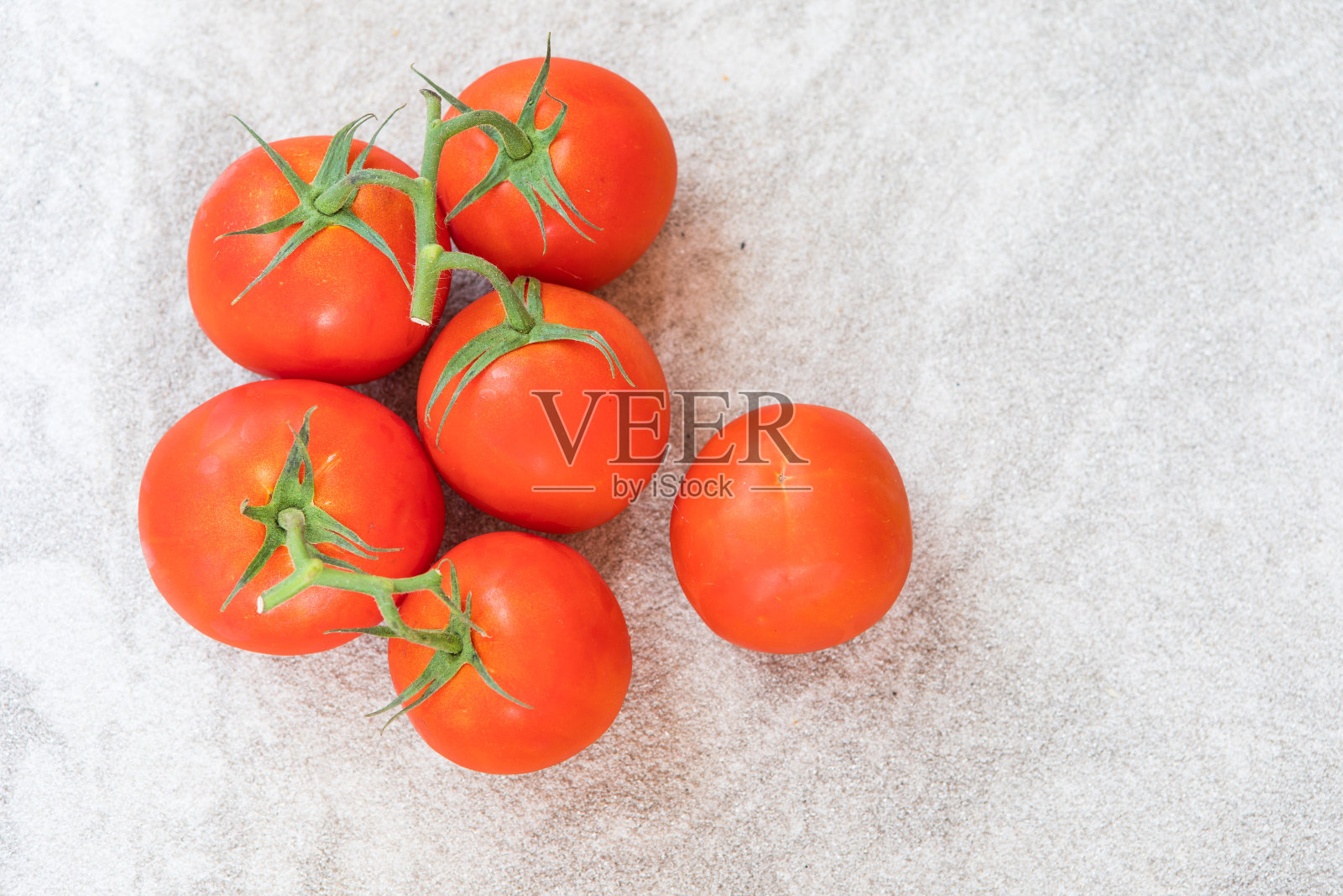 画室里的小树枝上的红番茄照片摄影图片