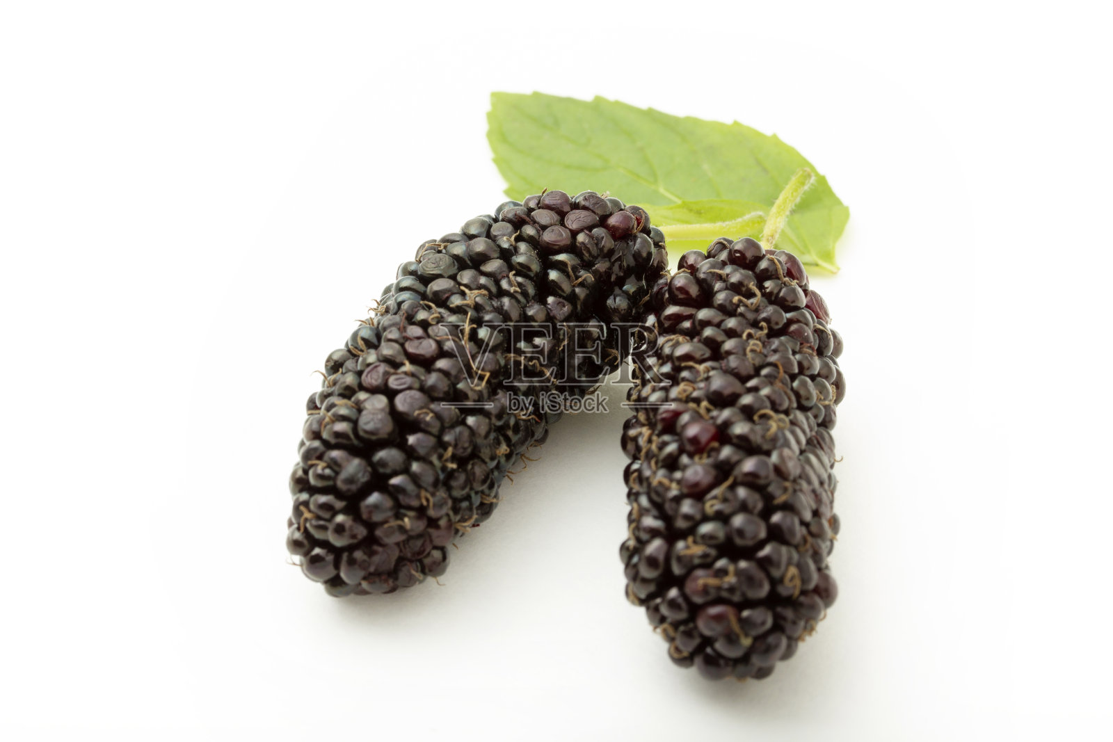 新鲜和成熟的桑葚背景照片摄影图片