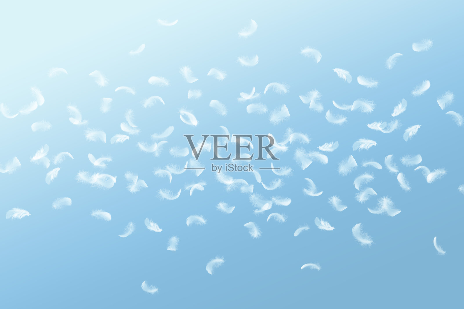 抽象的自由。一群轻盈蓬松的白色羽毛在空中飘浮着。蓝色背景。照片摄影图片