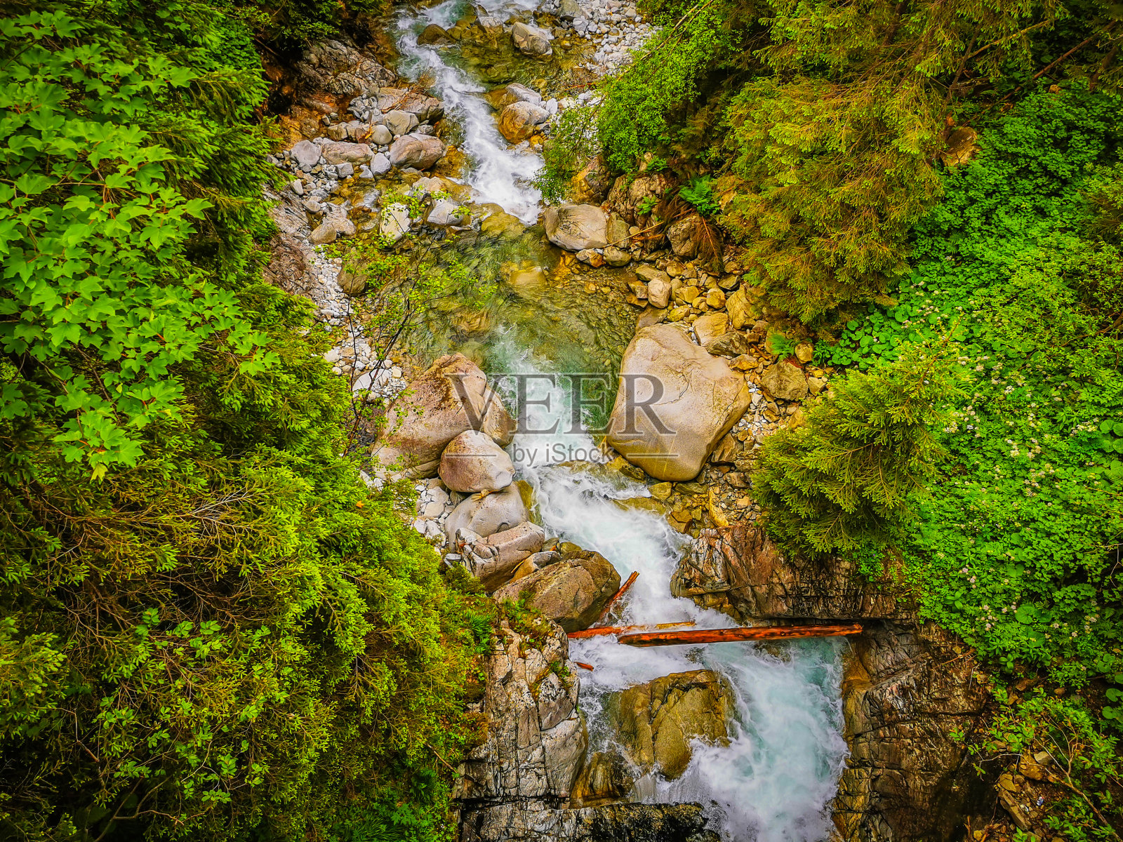 在塔特拉斯山脉的森林里有一条湍急的山河和岩石照片摄影图片