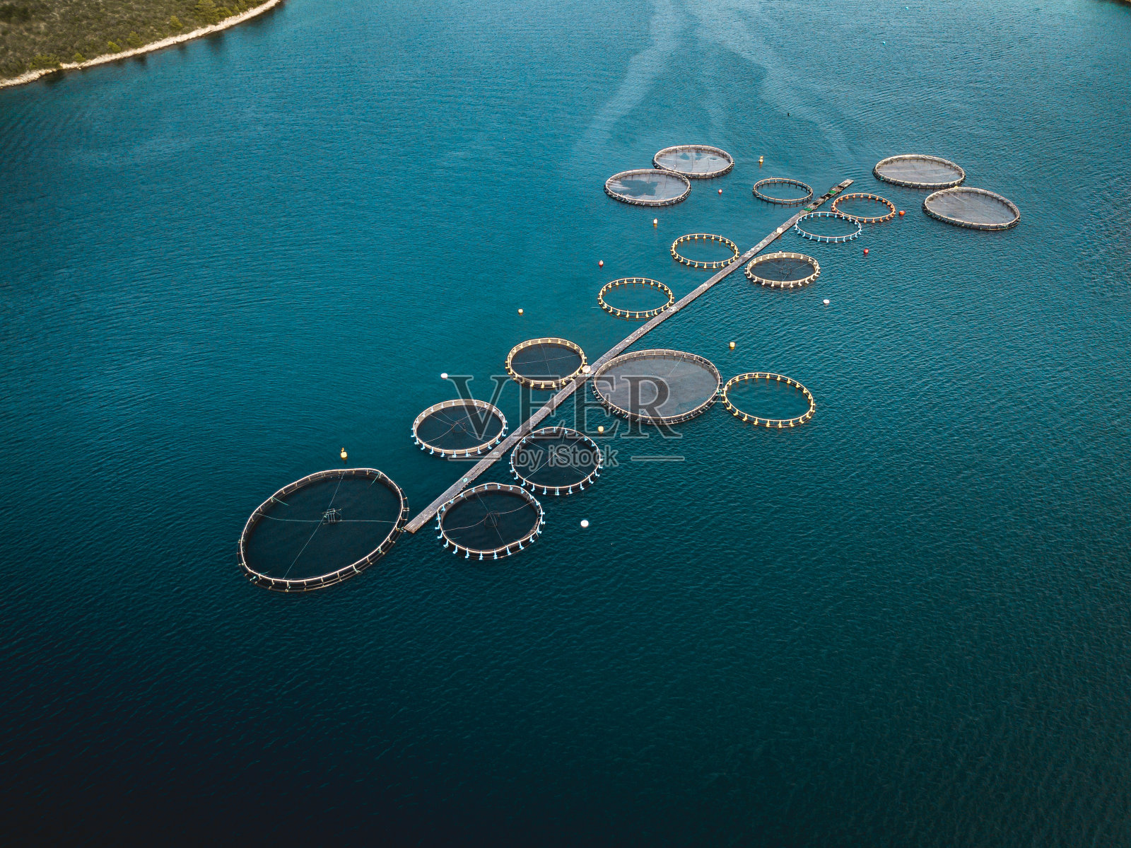 鸟瞰图，带有浮动网箱的渔场照片摄影图片