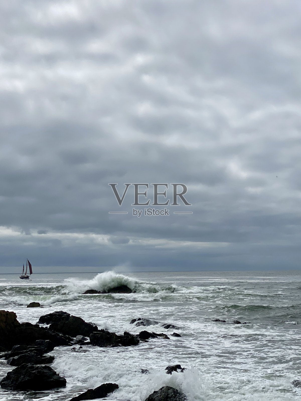 帆船缅因州海岸-布朗帆-肯纳邦克港照片摄影图片