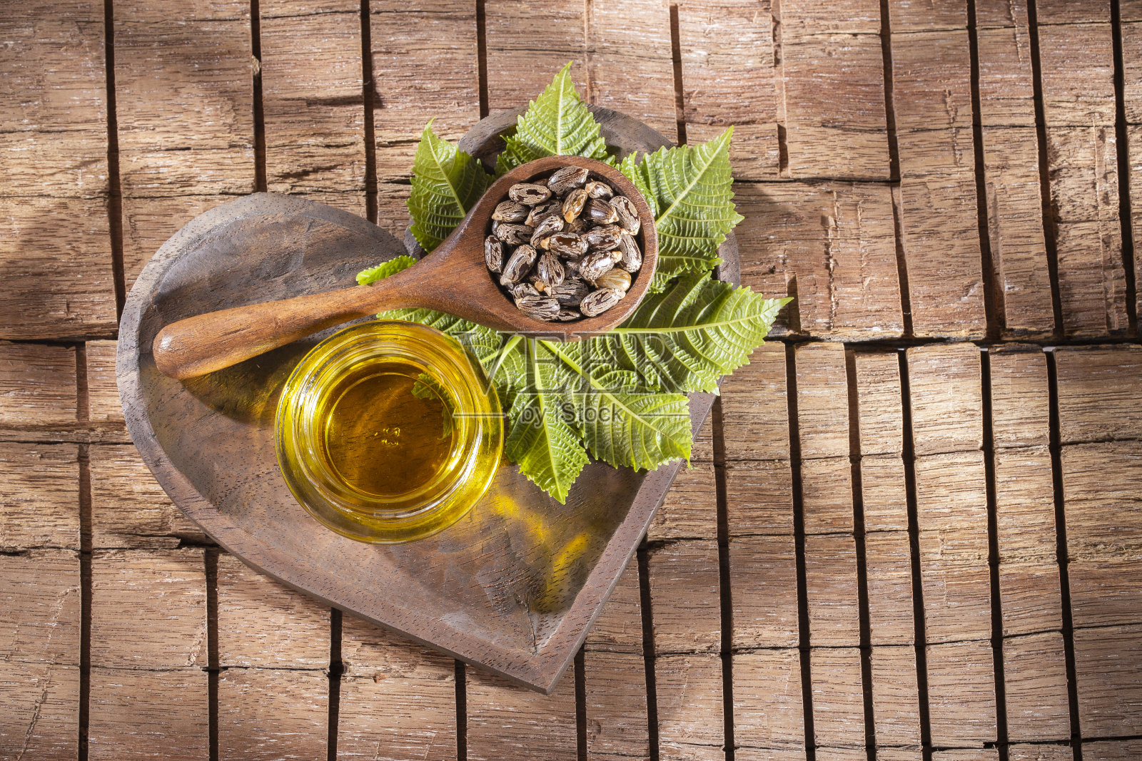 蓖麻油和种子照片摄影图片