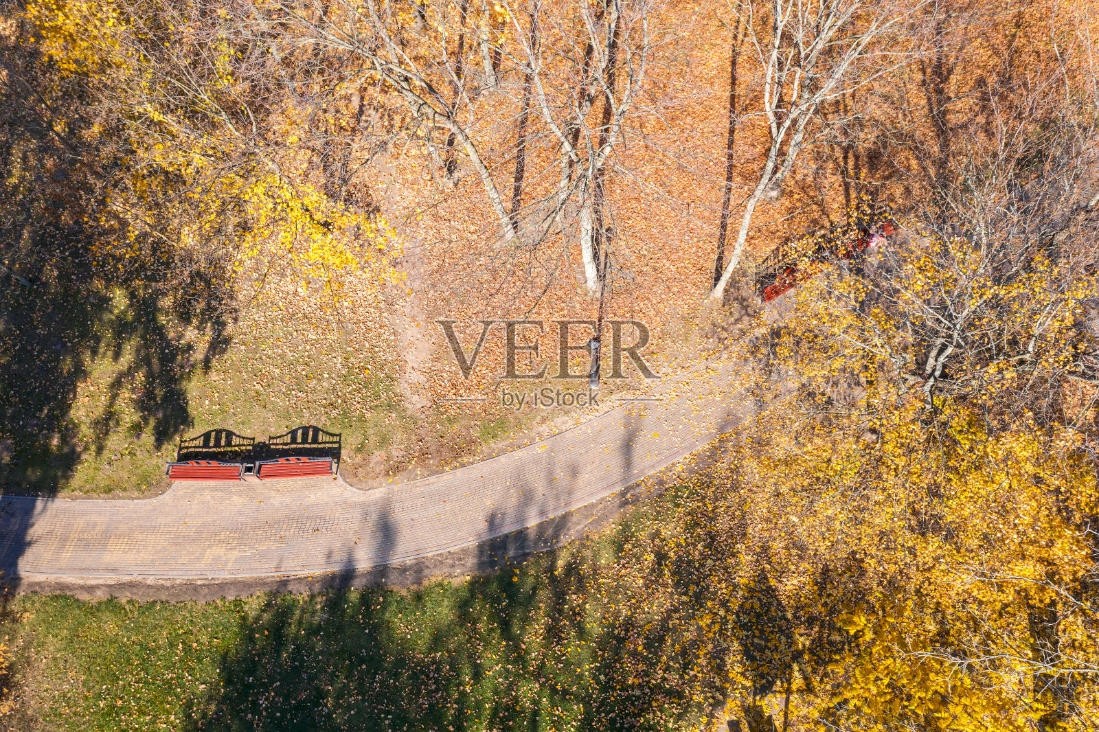 秋天公园里的晴天。五颜六色的树和地上的落叶。航拍照片照片摄影图片