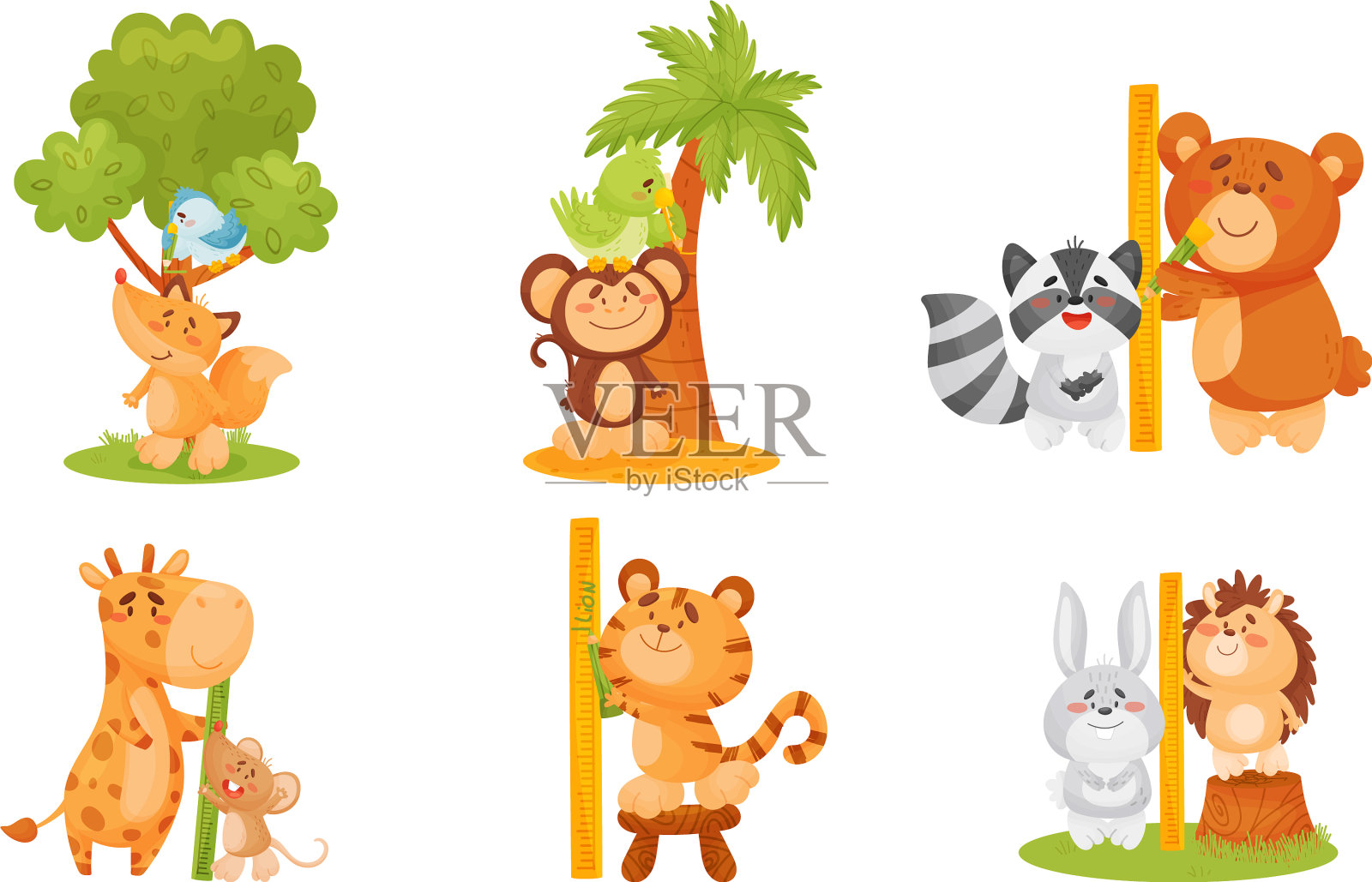 有趣的动物测量和比较高度插画图片素材