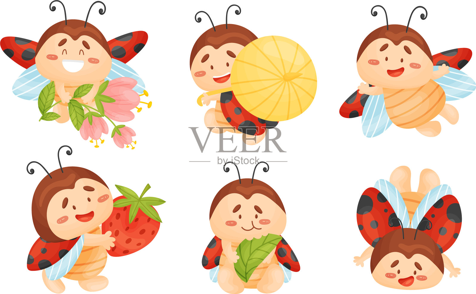 卡通瓢虫吃绿叶和携带插画图片素材