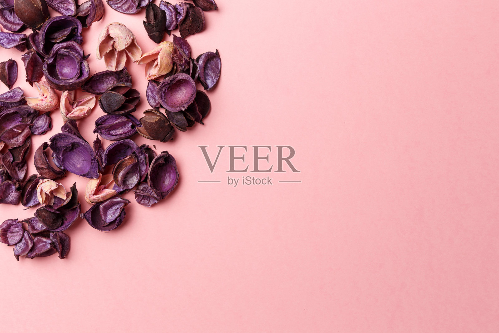 框架由紫色和粉红色的干花、枝叶和花瓣组成，背景为淡粉色。丰富多彩的背景图像。前视图。平的。副本的空间。艺术的概念。色彩趋势2020年照片摄影图片