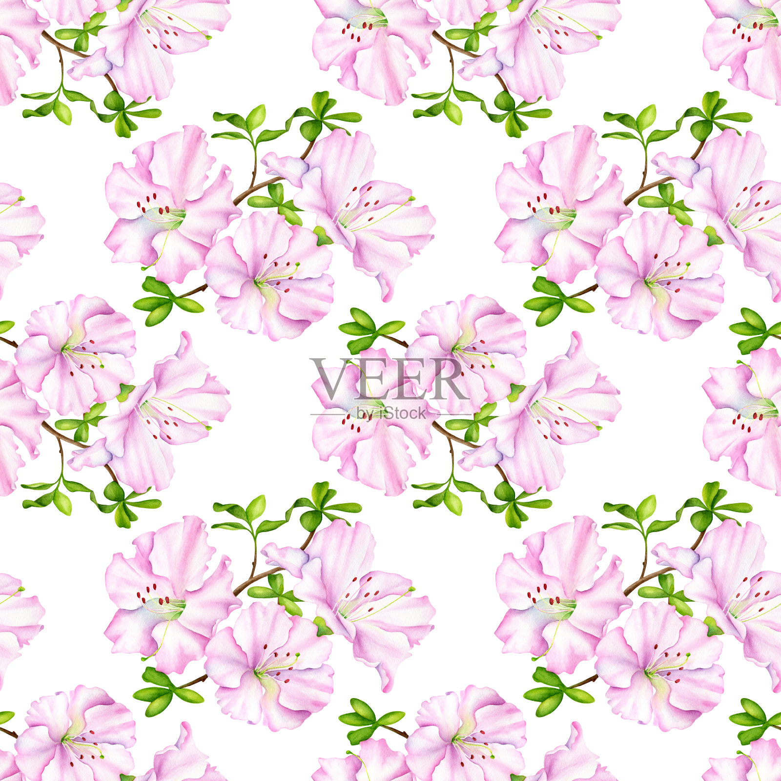 水彩无缝图案与粉红色杜鹃花和叶。白底杜鹃花的手绘植物图。安排卡片、纺织品、请帖、装饰插画图片素材