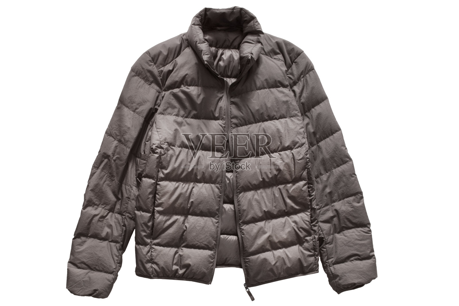 河豚夹克孤立照片摄影图片