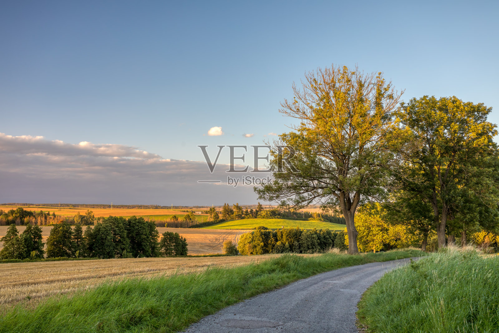 夏季景观捷克共和国Vysocina照片摄影图片