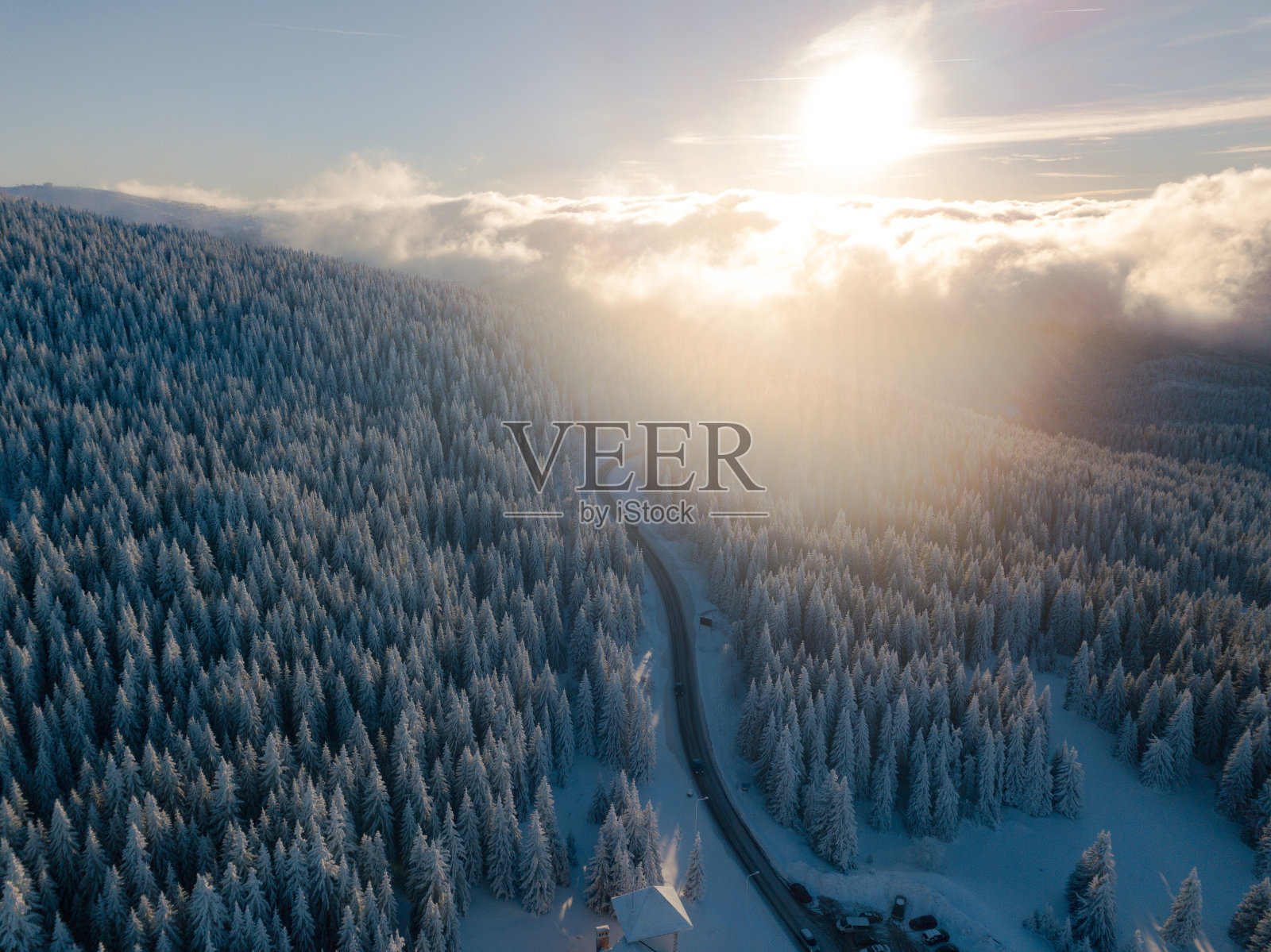 穿过积雪覆盖的冬季森林的道路照片摄影图片