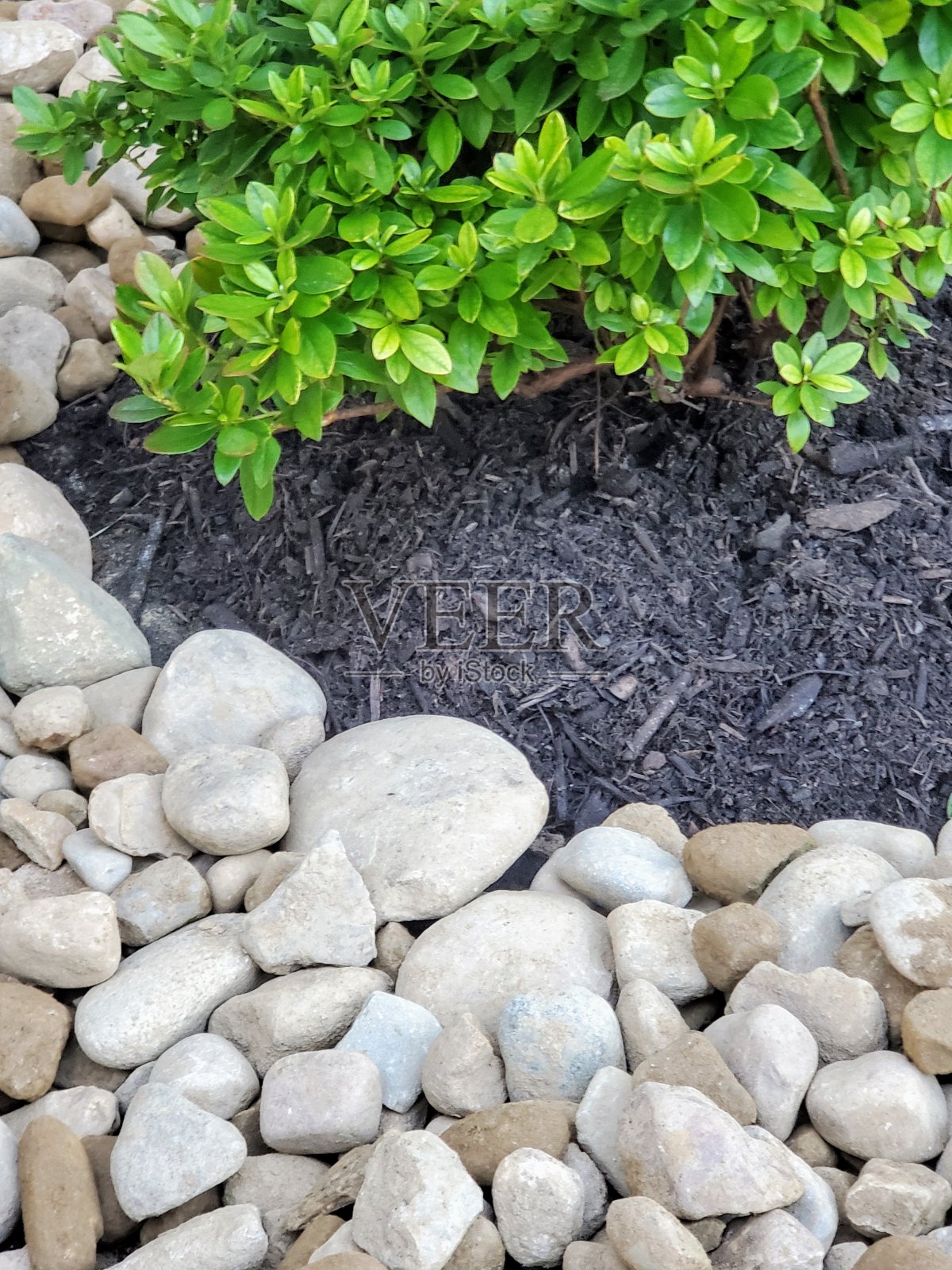 河石景观照片摄影图片