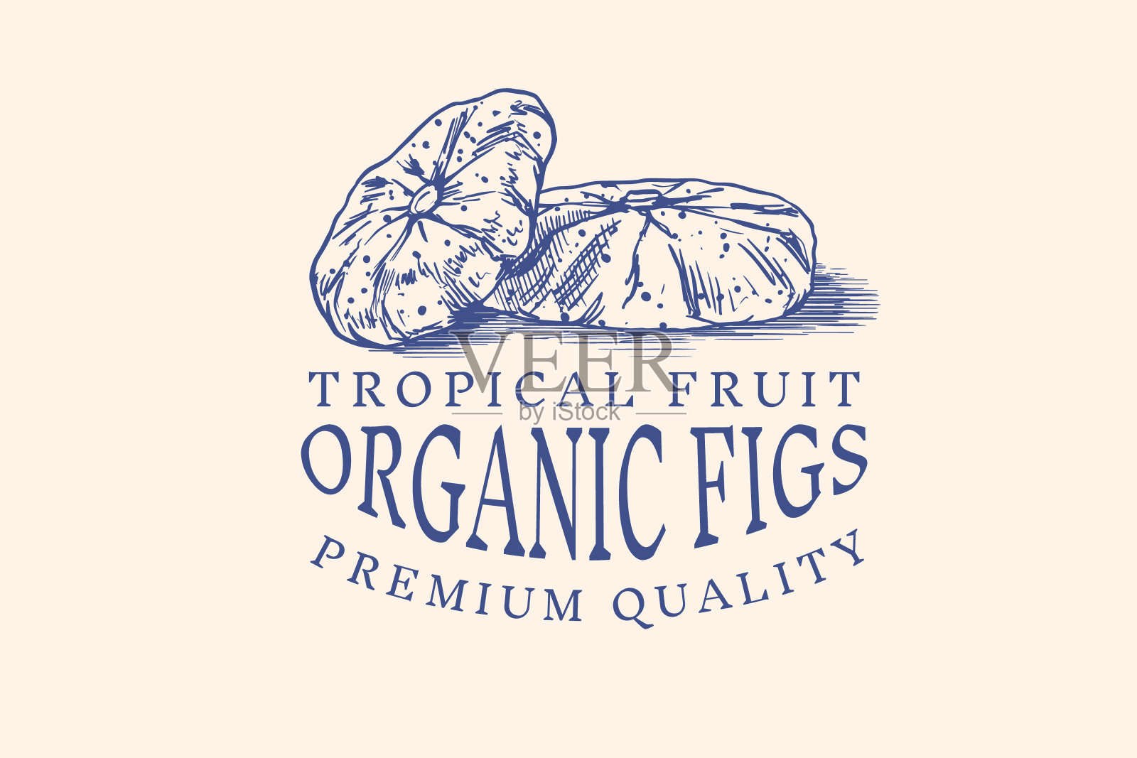 新鲜的无花果徽章。干果叶子标签或标志。减少碎片。排毒香料。矢量雕刻手绘草图邮票，t恤或印刷或菜单插画图片素材