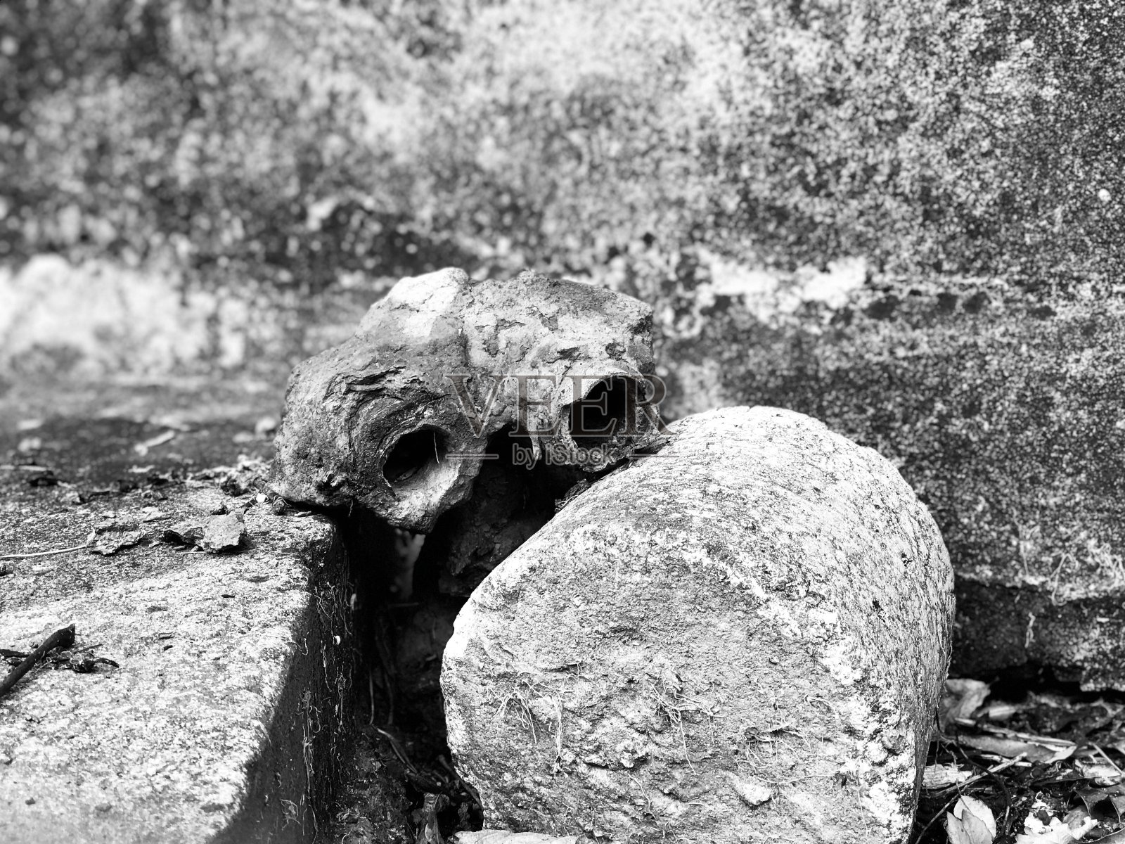 面对照片摄影图片