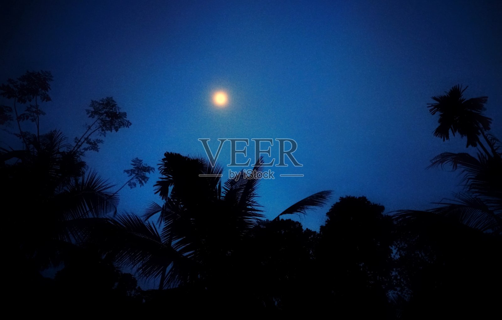 一个月光照耀的晚上照片摄影图片