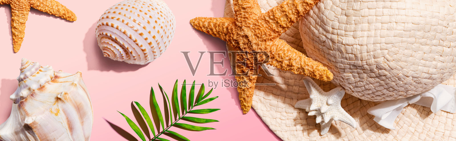 夏季概念与草帽和海星照片摄影图片