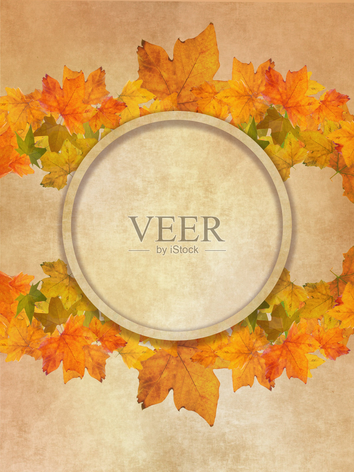 感恩节卡片模板照片摄影图片