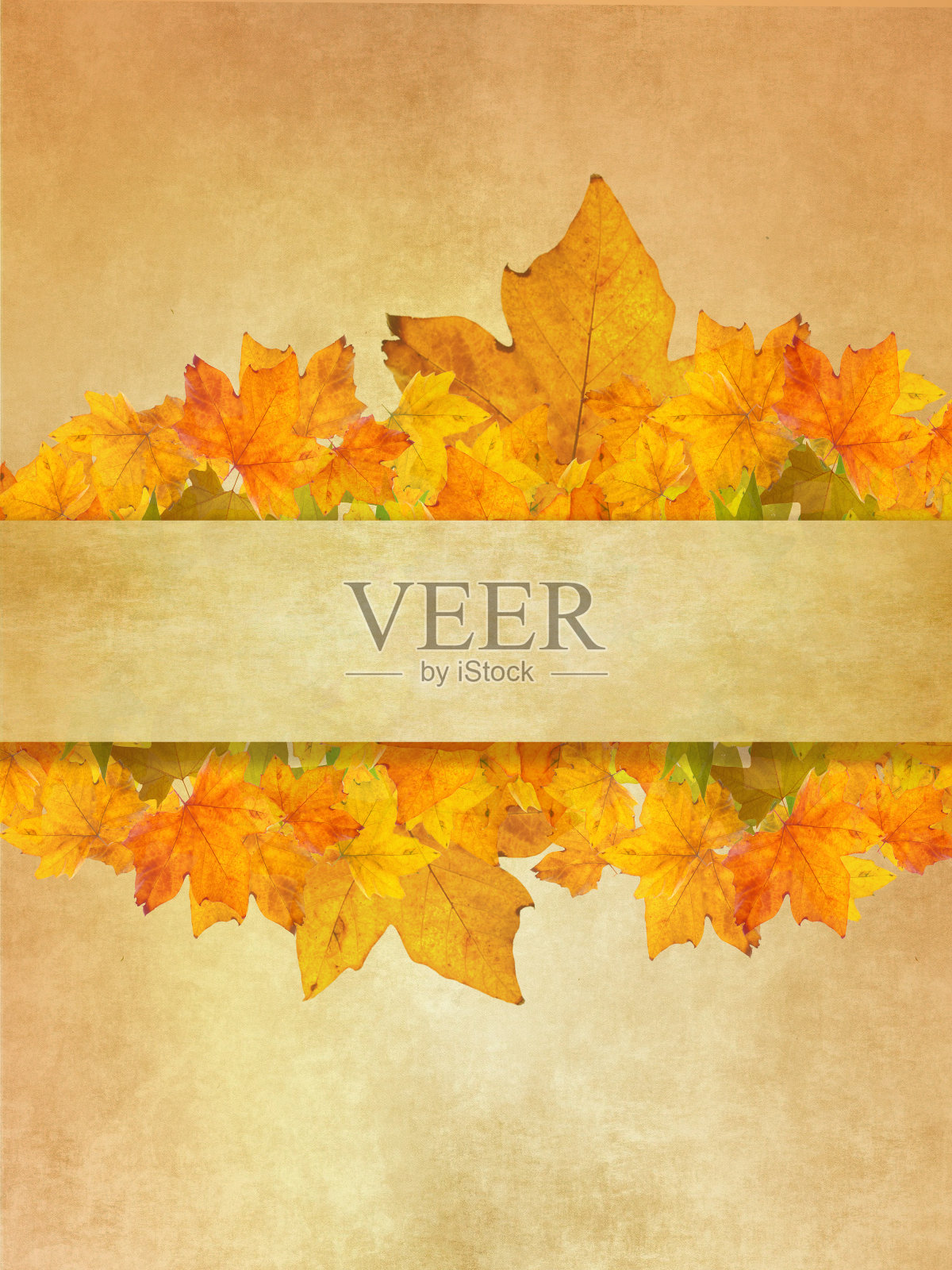 复古秋季卡片模板照片摄影图片