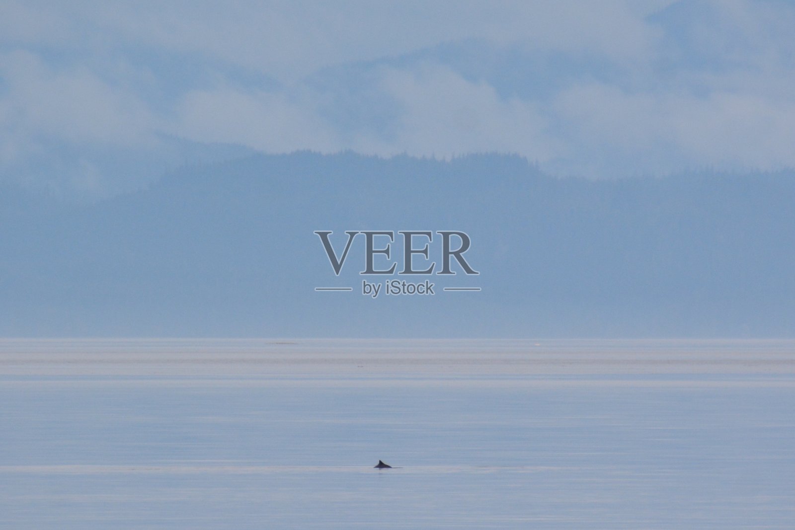 夏洛特女王海峡照片摄影图片