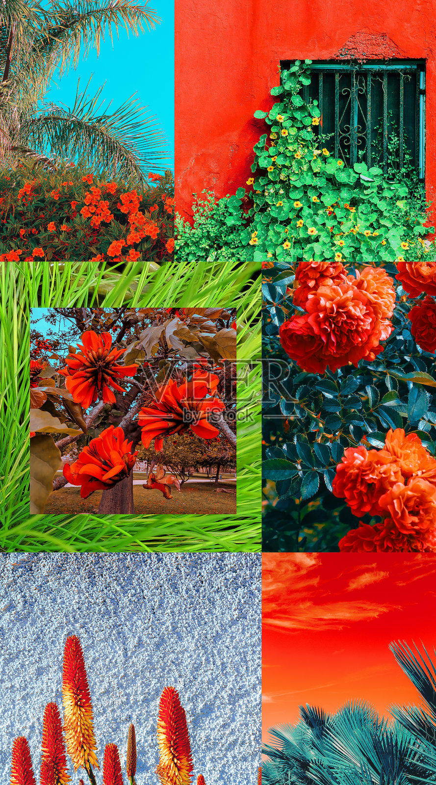 时尚审美moodboard。时尚的颜色，葱郁的熔岩。旅行。西班牙照片摄影图片