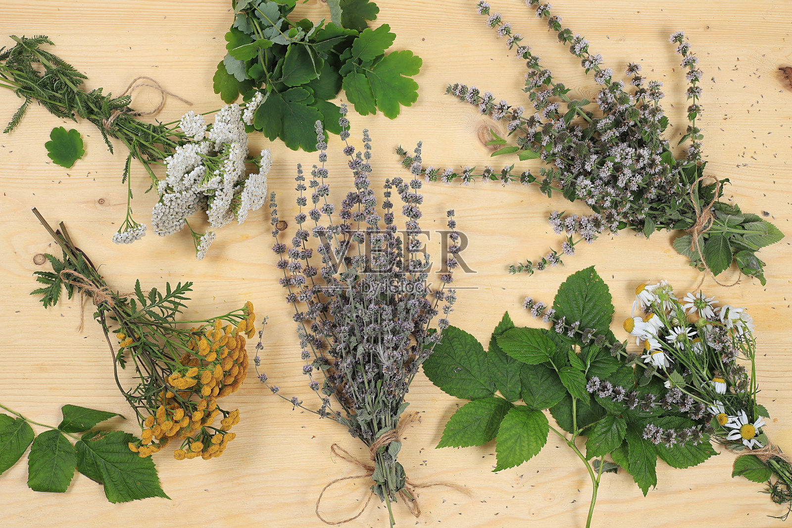 秋季野生草本植物和老木叶的排列背景，替代医学概念，选择性重点照片摄影图片