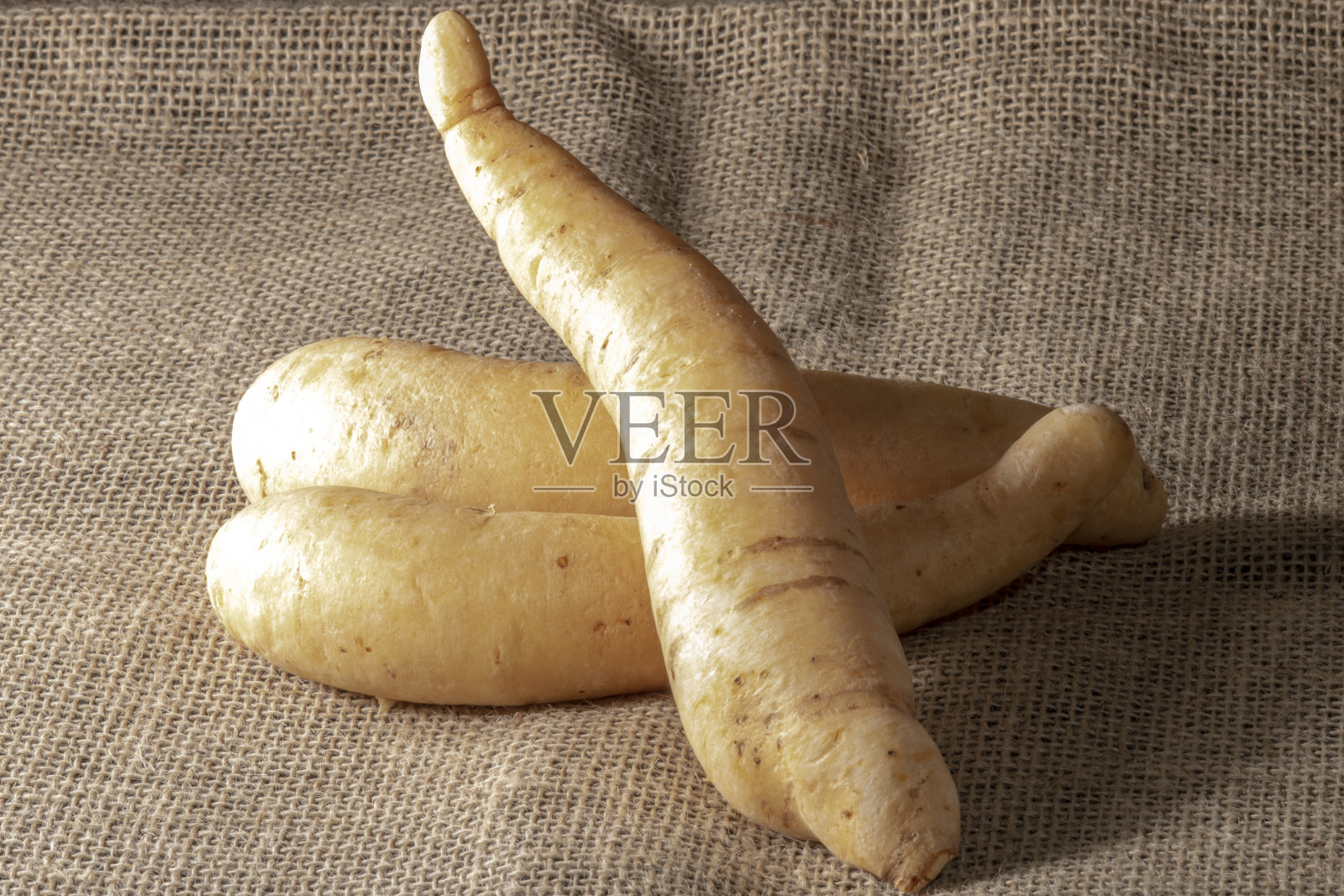 黄麻背景上的土豆巴罗亚或mandiquinha，在巴西的工作室拍摄照片摄影图片