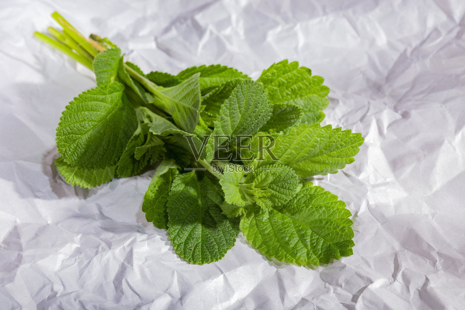 很快缓解，药用植物白油脂照片摄影图片
