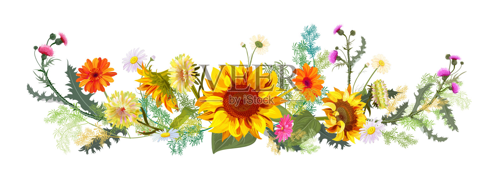 水平的秋天的边界:向日葵，黄紫菀，蓟，非洲菊，雏菊花，小绿树枝在白色的背景。数字绘图，插图水彩风格，全景视图，矢量插画图片素材