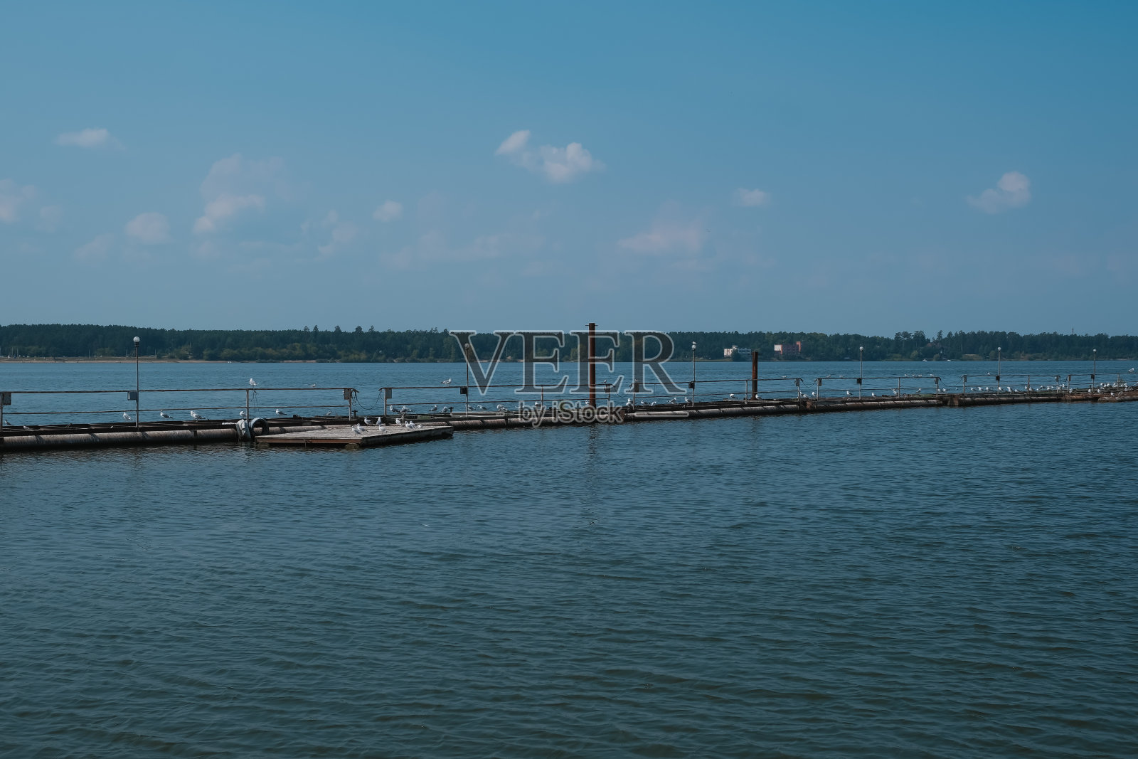 海边码头有海鸥，碧海蓝天照片摄影图片