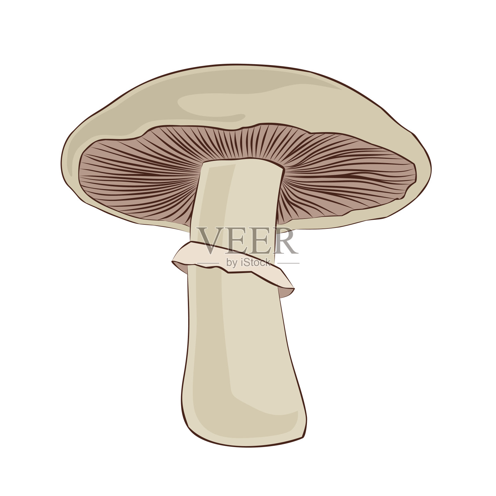 森林香槟的象征。插画图片素材