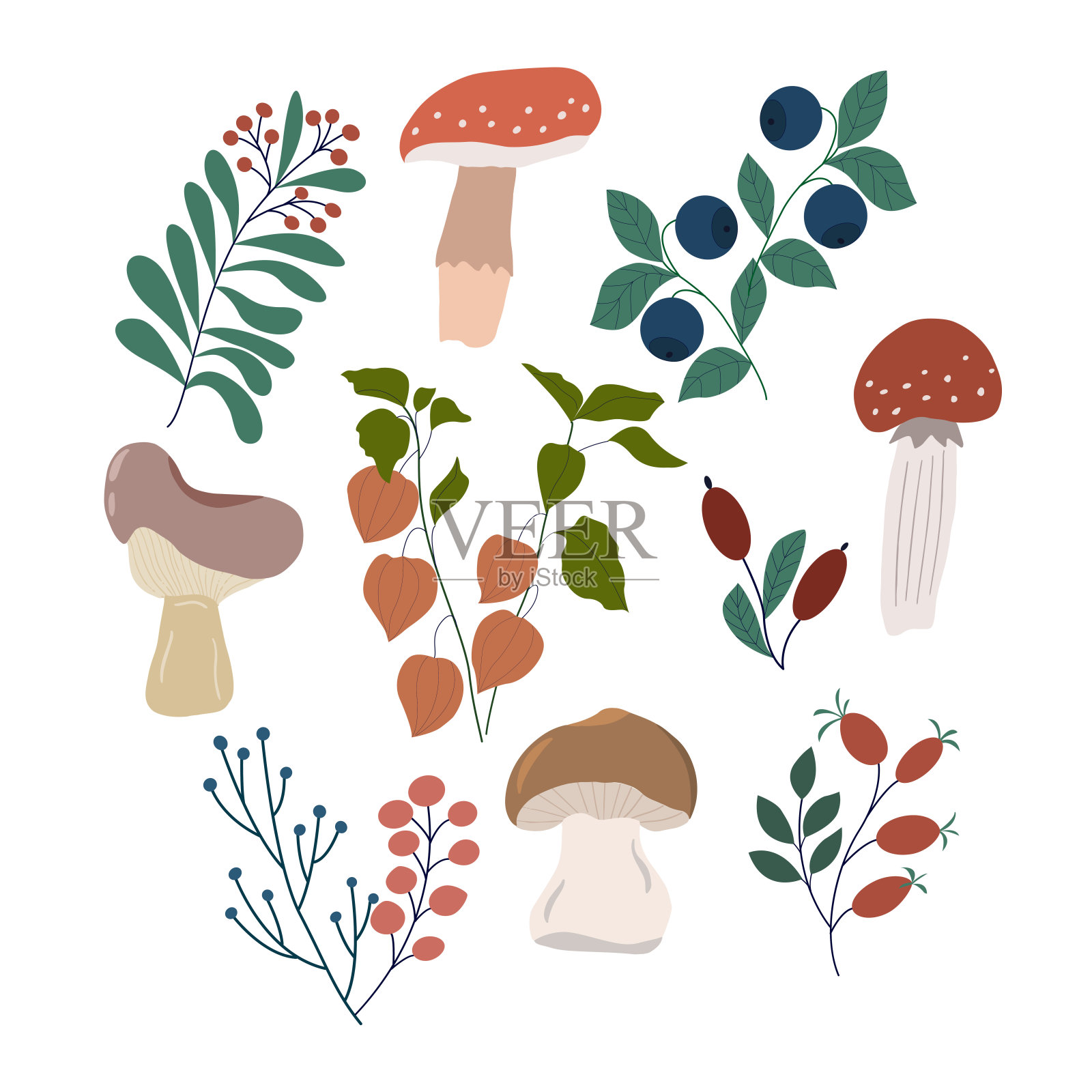 套秋叶、蘑菇、浆果。白色背景上的矢量图形设计的卡片，打印在枕头，包装，封面，包装纸上设计元素图片